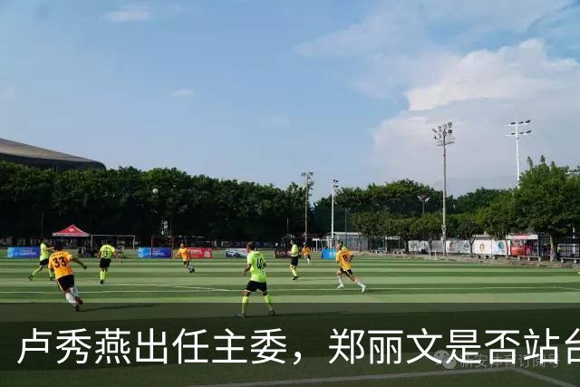 卢秀燕出任主委，郑丽文是否站台却支支吾吾，蒋万安玩得哪一出？