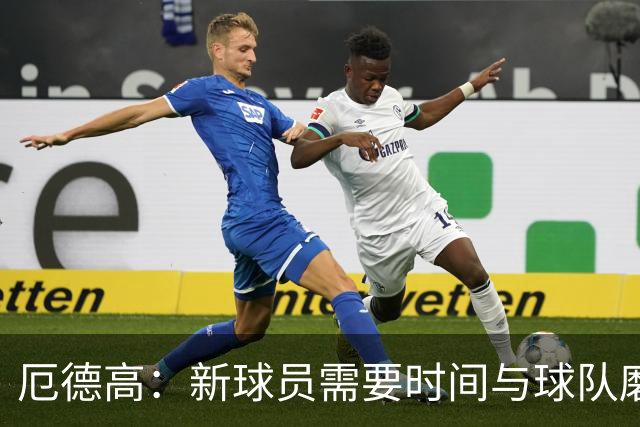 厄德高：新球员需要时间与球队磨合，我们每周都在变得更好