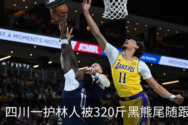四川一护林人被320斤黑熊尾随跟了一天，无奈举起砍刀对峙