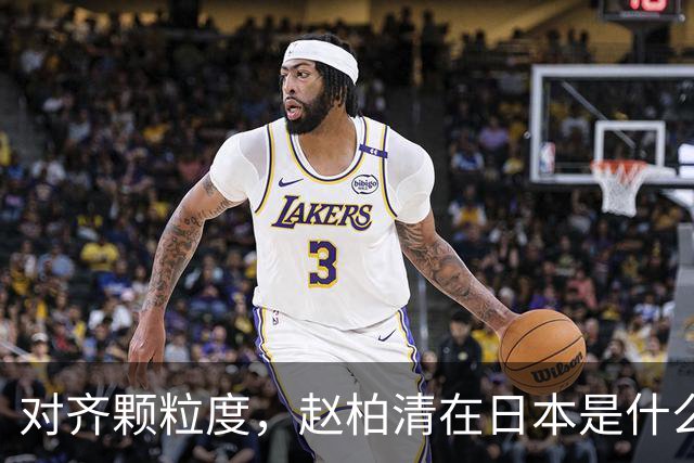 对齐颗粒度，赵柏清在日本是什么水平？