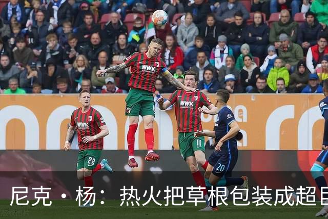 尼克·杨：热火把草根包装成超巨，这全是莱利的责任