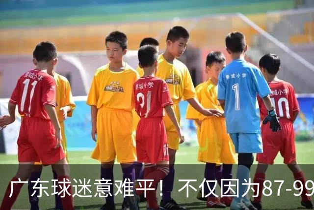 广东球迷意难平！不仅因为87-99输给上海队，更在于以下5点