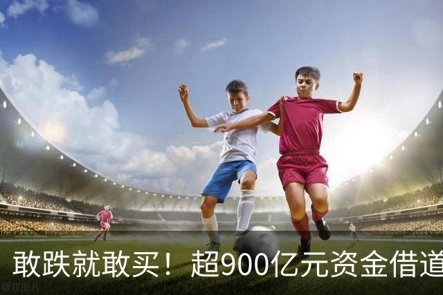 敢跌就敢买！超900亿元资金借道ETF蜂拥进场，除了沪深300，这些主题ETF也被大手笔买入