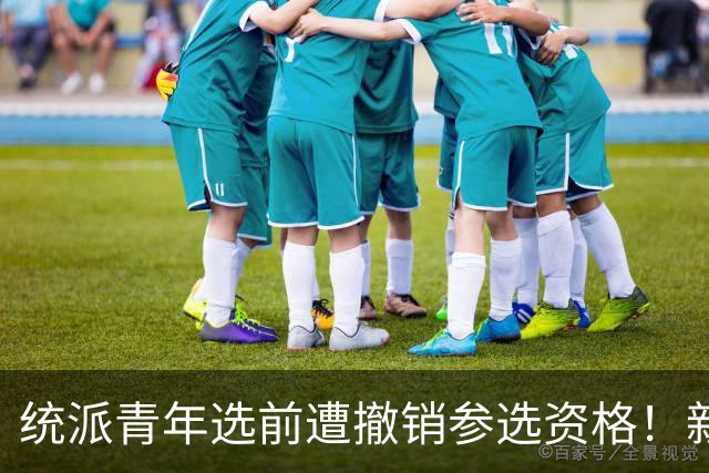 统派青年选前遭撤销参选资格！新党主席吴成典率律师团声援游智彬