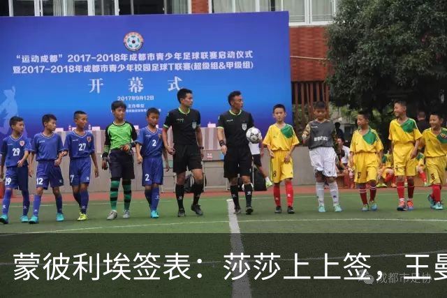 蒙彼利埃签表：莎莎上上签，王曼昱张本美和又同区，或第16次交手