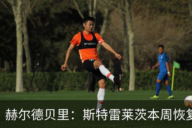 赫尔德贝里：斯特雷莱茨本周恢复合练，或赶上查尔顿之战