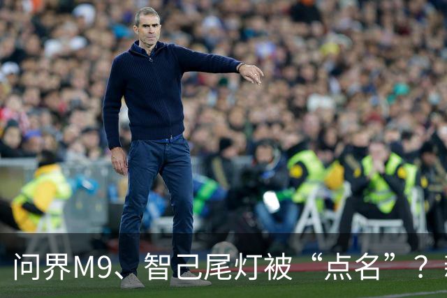 问界M9、智己尾灯被“点名”？新规：车灯不许卖萌